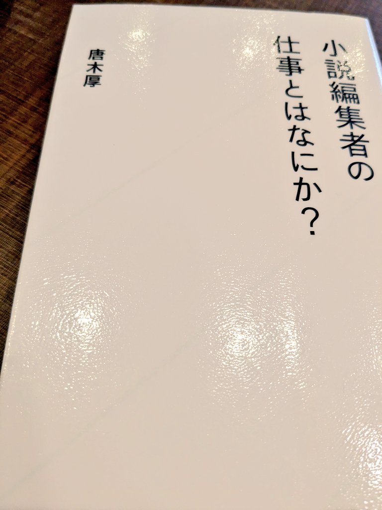 『小説編集者の仕事とはなにか？』感想、レビュー、あらすじ、ネタバレ